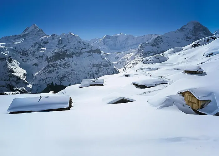 Schwendi 3 By Interhome Grindelwald