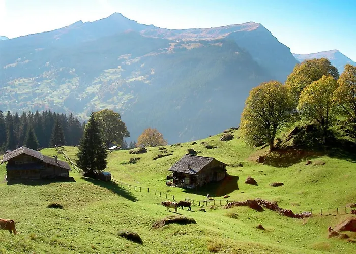 Lejlighed Schwendi 3 By Interhome *