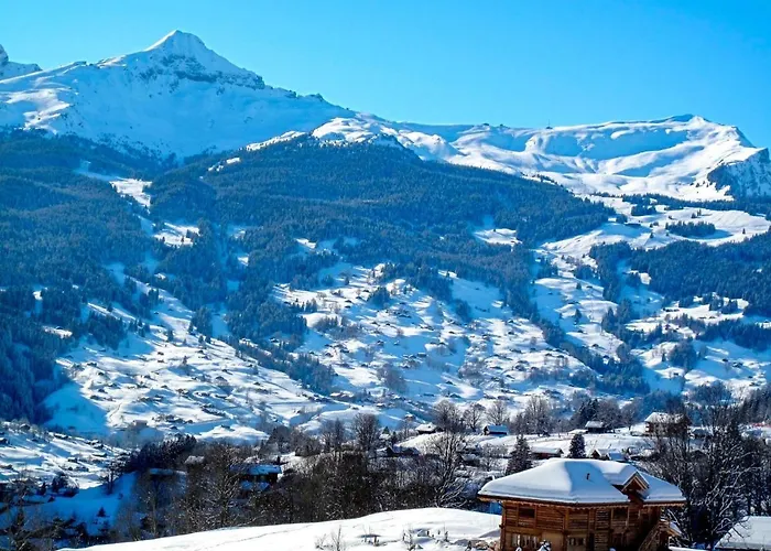 Schwendi 3 By Interhome Lejlighed